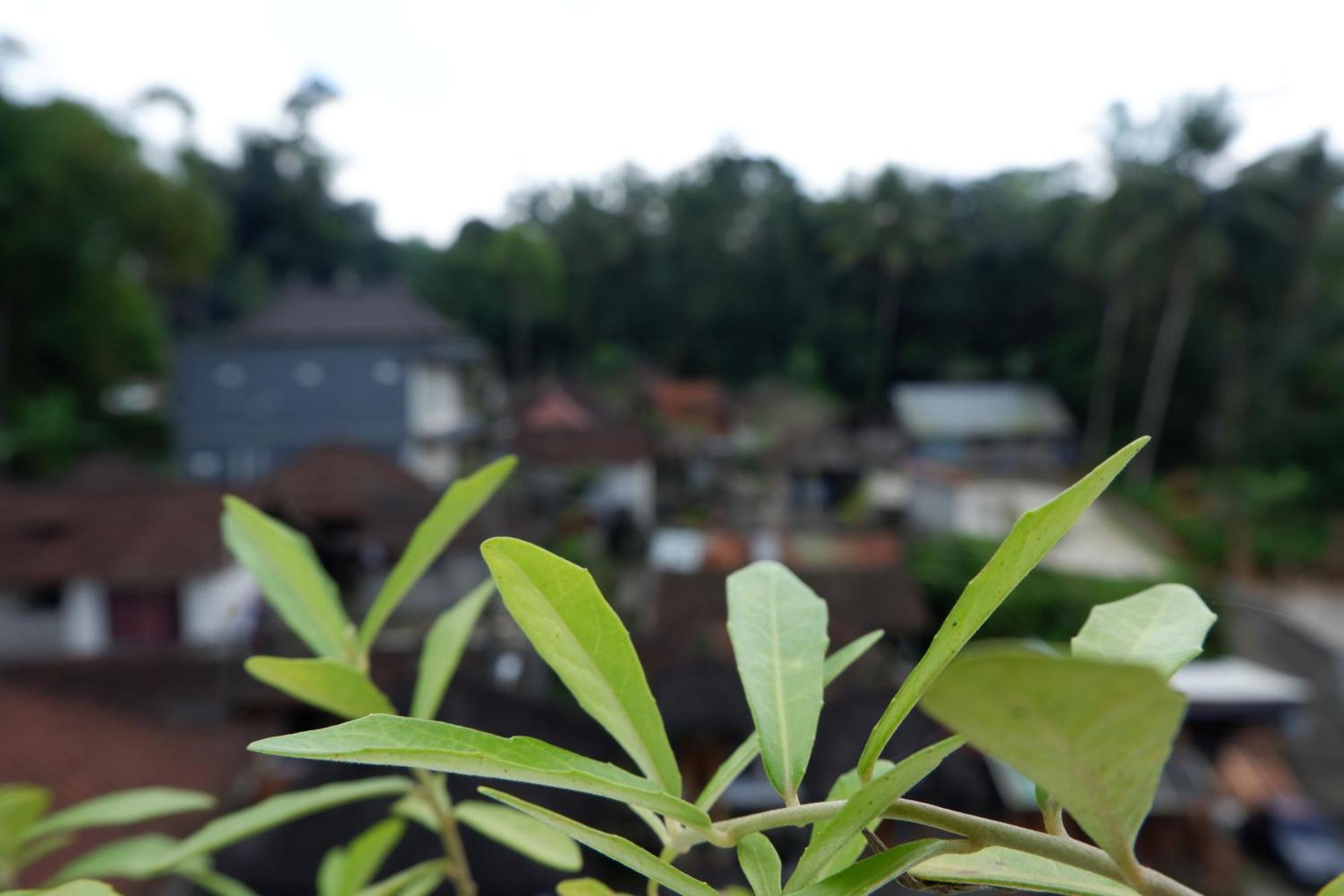 Ramaya Ubud View By Eps Esterno foto